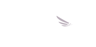 A Robert Wood Johnson Foundation Program